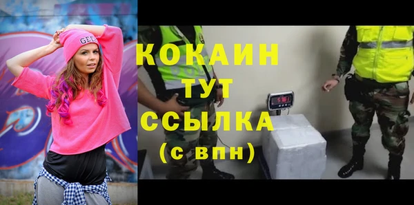 дживик Баксан