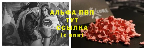дживик Баксан