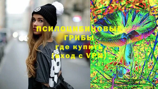 дживик Баксан