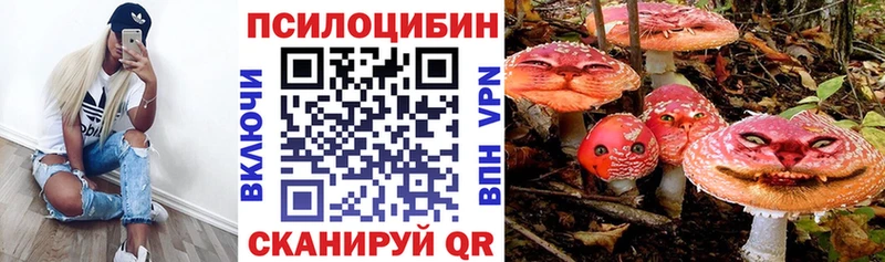 Купить  Павловск  Галлюциногенные грибы прущие грибы 